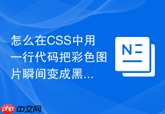 怎么在css中用一行代码把彩色图片瞬间变成黑白单色？