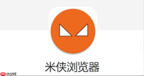 米侠浏览器加载网页卡在进度条99%应该如何排查DNS解析？