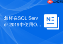 怎样在sql server 2019中使用offset fetch实现分页查询