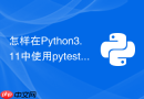 怎样在Python3.11中使用pytest测试Celery异步任务