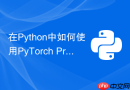 在python中如何使用pytorch profiler精确分析模型性能瓶颈?