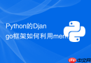Python的Django框架如何利用memcached减轻MySQL压力？