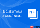 怎么解决tailwind css在next.js项目中样式闪烁的问题?