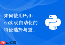 如何使用Python实现自动化的特征选择与重要性评估？