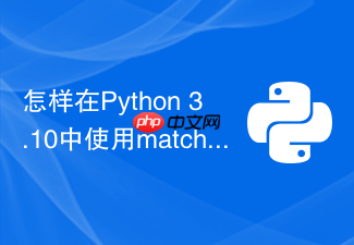 怎样在python 3.10中使用match-case提升分支执行效率?