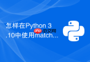 怎样在python 3.10中使用match-case提升分支执行效率?