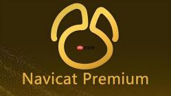 怎么在Navicat中安全地跨部门共享只读报表查询？