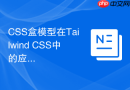 CSS盒模型在Tailwind CSS中的应用是怎样的？