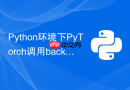 python环境下pytorch调用backward时retain_graph参数何时使用?