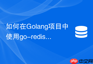 如何在golang项目中使用go-redis连接池高效访问redis集群