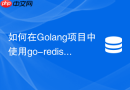 如何在Golang项目中使用go-redis连接池高效访问Redis集群