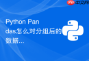 python pandas怎么对分组后的数据应用自定义lambda函数?