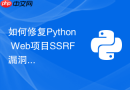 如何修复Python Web项目SSRF漏洞