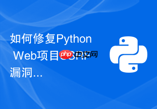 如何修复python web项目ssrf漏洞