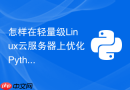 怎样在轻量级Linux云服务器上优化Python运行时的内存占用？