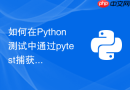 如何在python测试中通过pytest捕获并断言特定异常