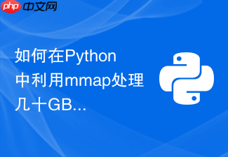 如何在python中利用mmap处理几十gb大文件以降低内存?