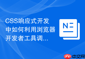 css响应式开发中如何利用浏览器开发者工具调试布局?