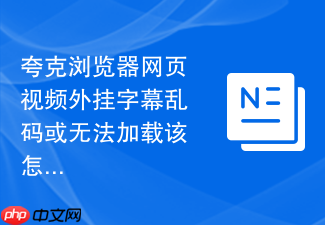 夸克浏览器网页视频外挂字幕乱码或无法加载该怎么处理