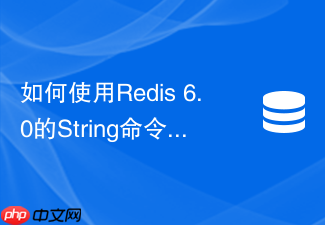如何使用redis 6.0的string命令处理高并发库存扣减