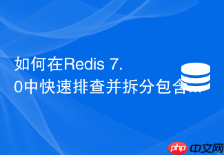 如何在redis 7.0中快速排查并拆分包含千万元素的set大键