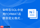 如何在SQL中使用FORMAT函数自定义格式化货币输出