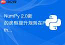 NumPy 2.0新的类型提升规则在Python中怎么用