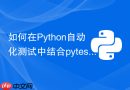 如何在python自动化测试中结合pytest与playwright