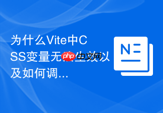 为什么vite中css变量无法生效以及如何调试构建配置?