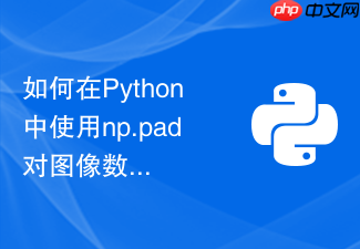 如何在python中使用np.pad对图像数组进行边缘填充