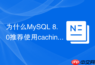 为什么mysql 8.0推荐使用caching_sha2_password认证插件