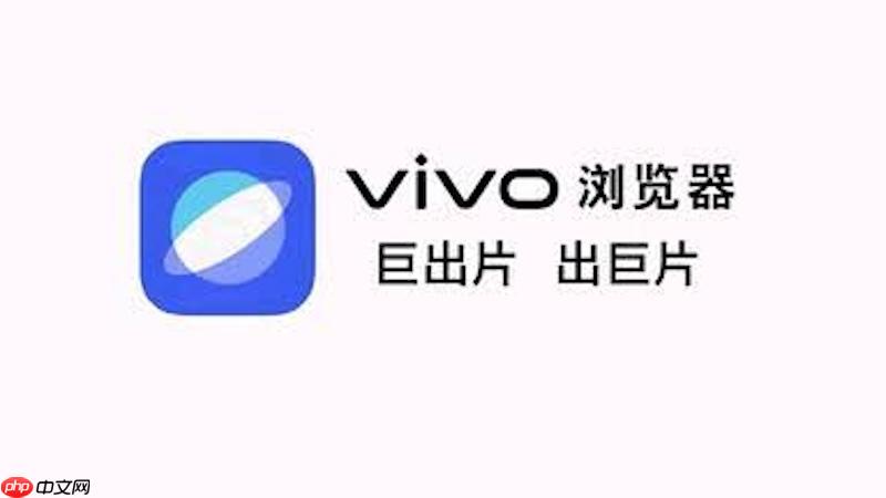 如何解决vivo浏览器长时间运行后手机发热严重的问题?