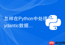 怎样在Python中处理Pydantic数据验证ValidationError