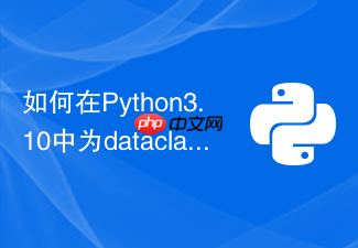 如何在python3.10中为dataclass开启slots参数提升性能
