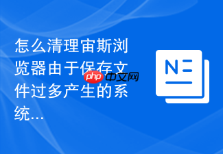 怎么清理宙斯浏览器由于保存文件过多产生的系统临时数据?