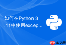如何在Python 3.11中使用except*语法捕获异常组