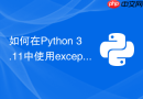 如何在python 3.11中使用except*语法捕获异常组