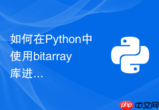 如何在python中使用bitarray库进行高性能位运算操作