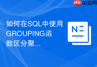 如何在sql中使用grouping函数区分聚合生成的null与真实null?