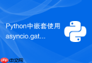 Python中嵌套使用asyncio.gather失败该如何精确定位？