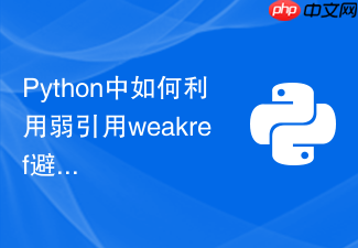 python中如何利用弱引用weakref避免对象缓存泄漏