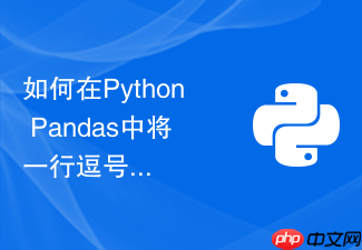 如何在python pandas中将一行逗号分隔的字符串拆成多列?