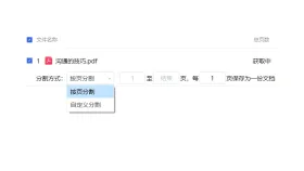 PDF按页拆开怎么处理？下载结果前要看哪里