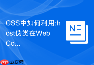 css中如何利用:host伪类在web components中控制宿主样式?