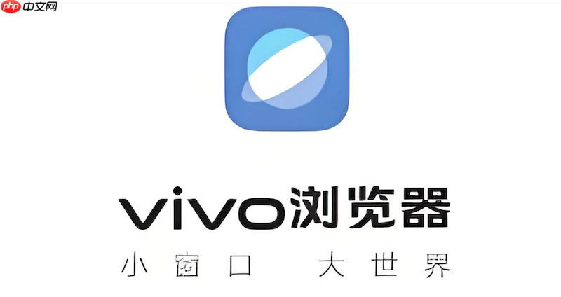 怎么在vivo浏览器中使用图片进行以图搜图查找信息?
