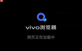 怎么找回在vivo浏览器中不小心误删的重要书签?