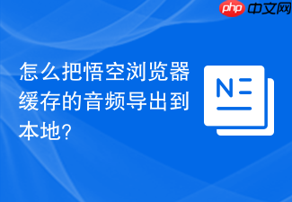 怎么把悟空浏览器缓存的音频导出到本地?