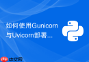 如何使用Gunicorn与Uvicorn部署高性能的Python FastAPI环境？