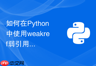 如何在python中使用weakref弱引用避免循环引用导致的内存泄露?