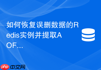如何恢复误删数据的redis实例并提取aof记录